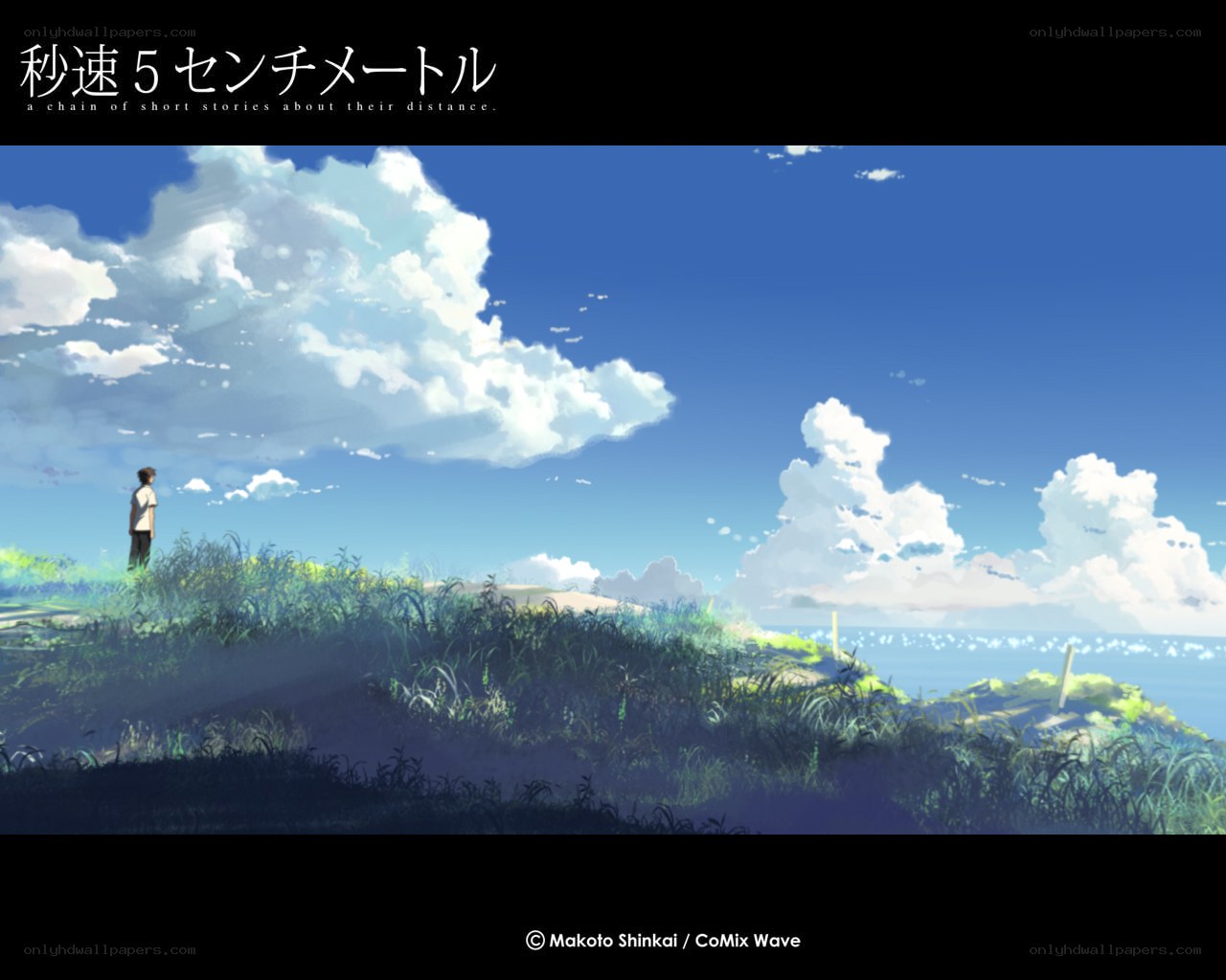 A boy on a hill by the sea