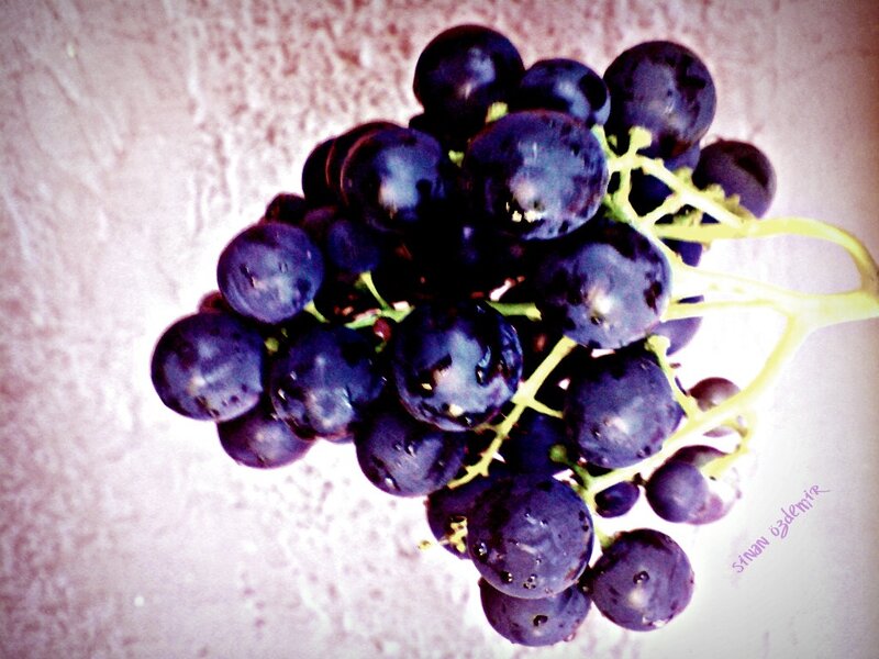 a bunch of dark grapes