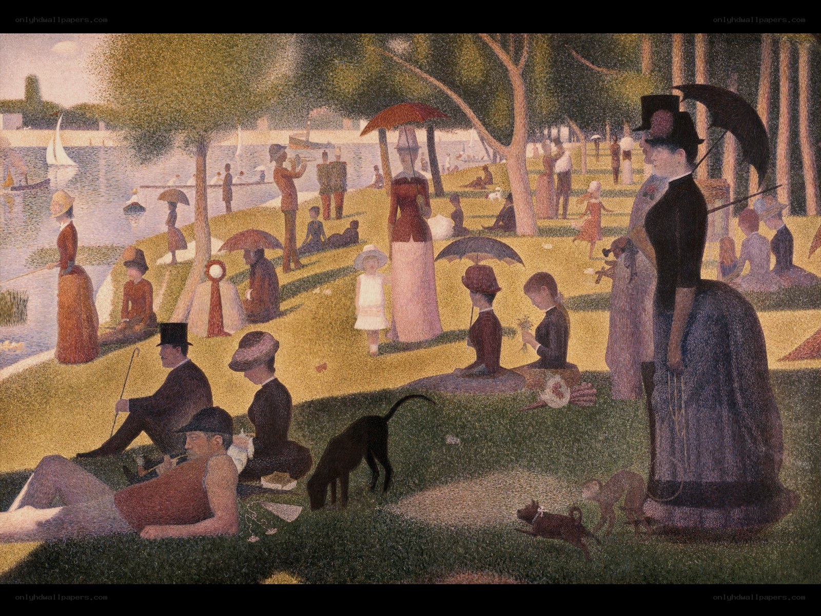 A Day at the Park