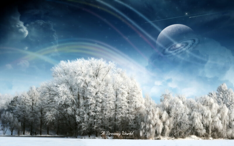 A Dreamy Winter World