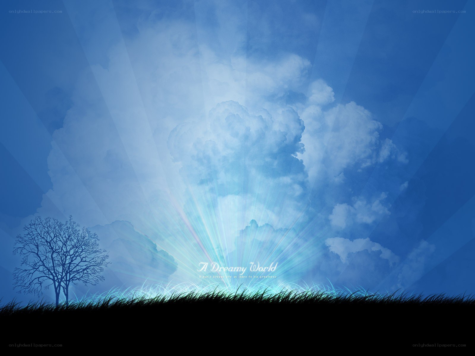 A Dreamy World