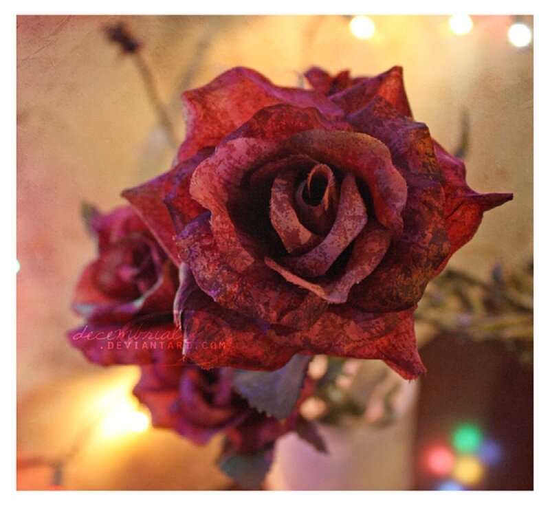 A dried red rose in warm light