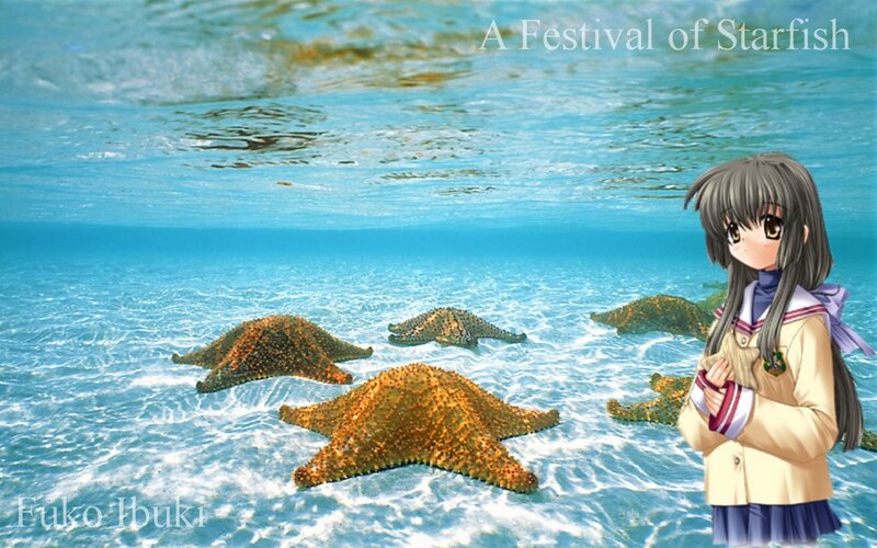 A Festival of Starfish