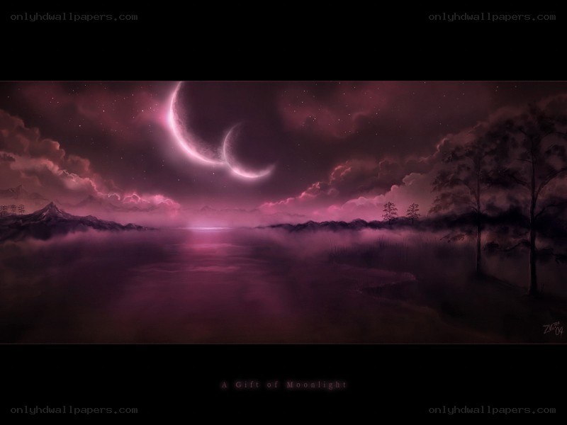 A Gift of Moonlight