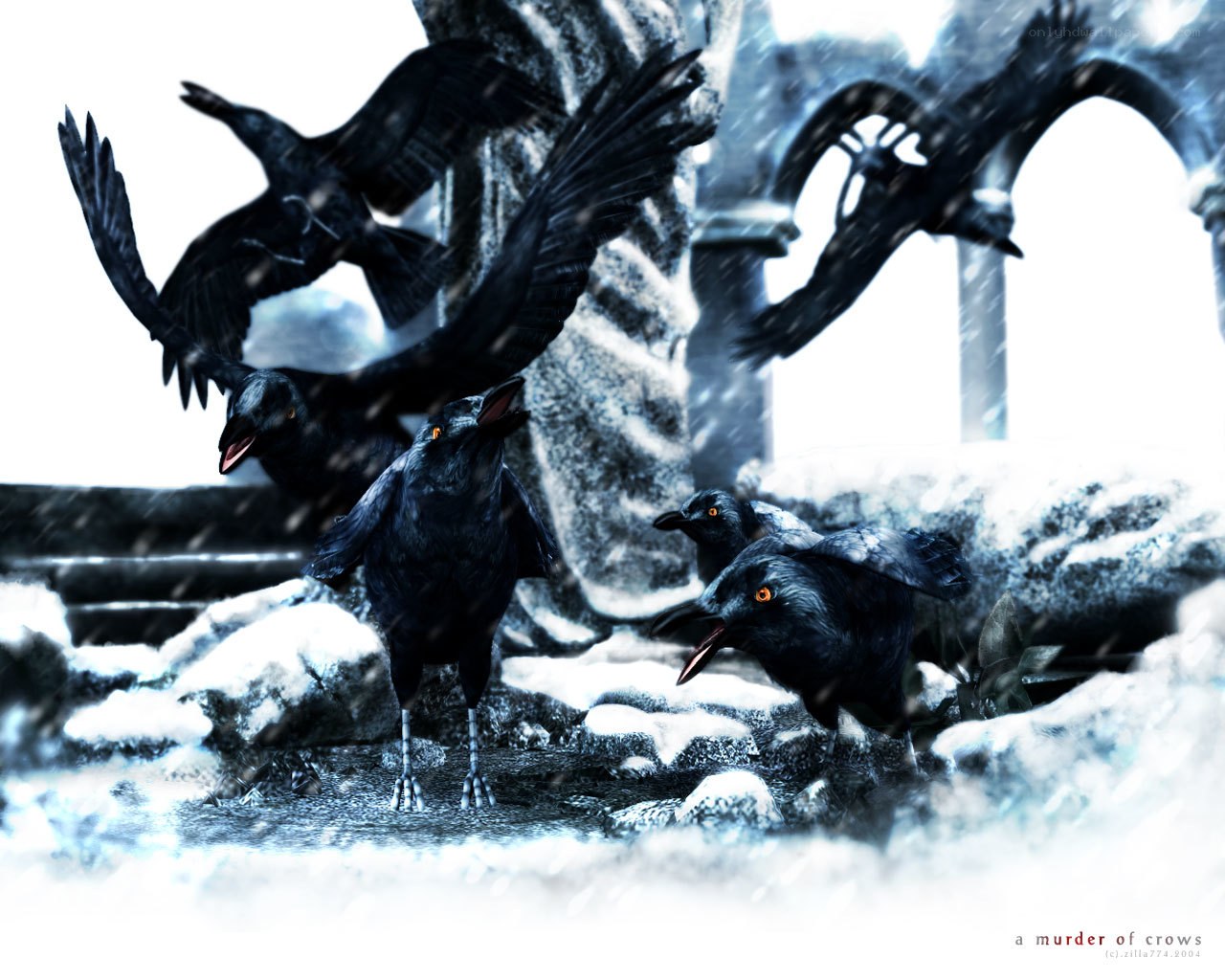 a murder of crows