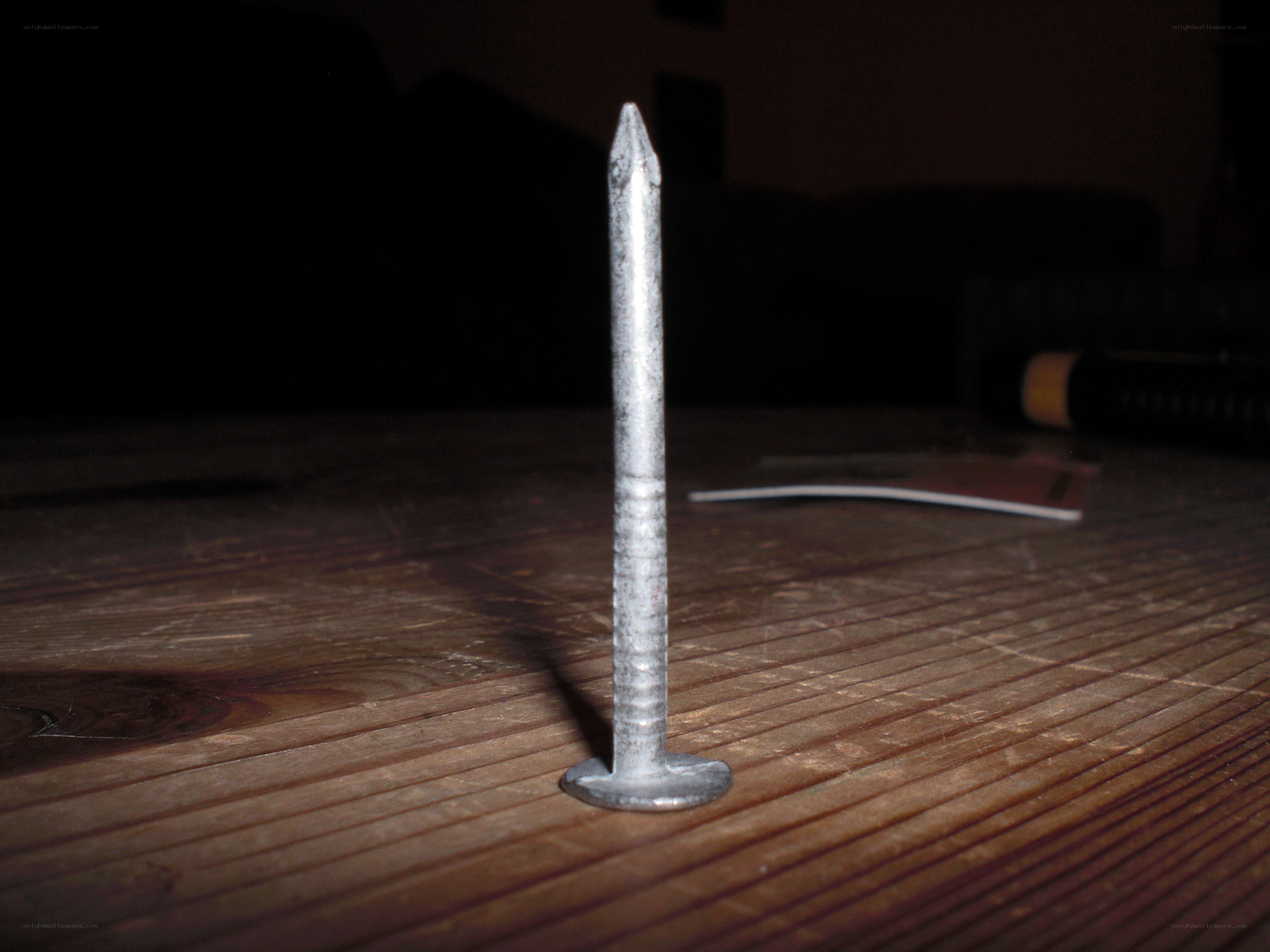 A nail standing on a wooden surface