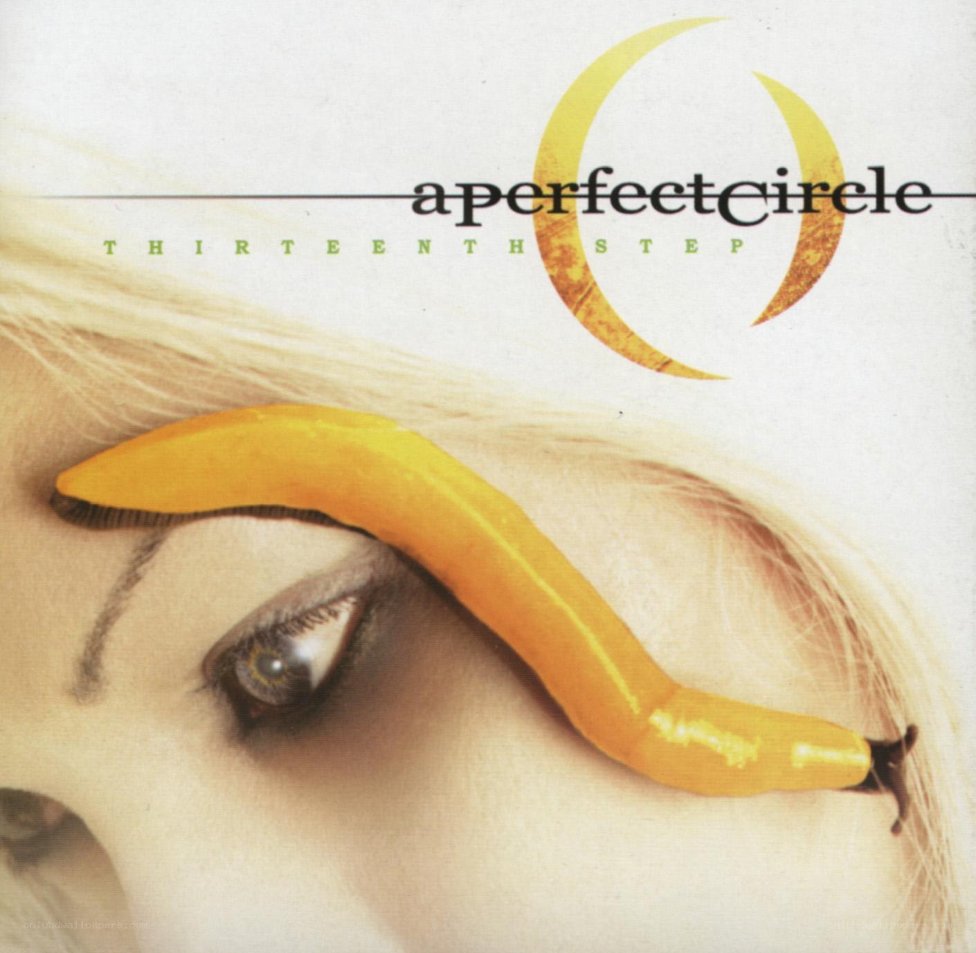 A Perfect Circle album cover