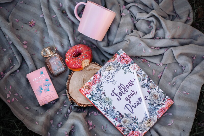 A Picnic Setup
