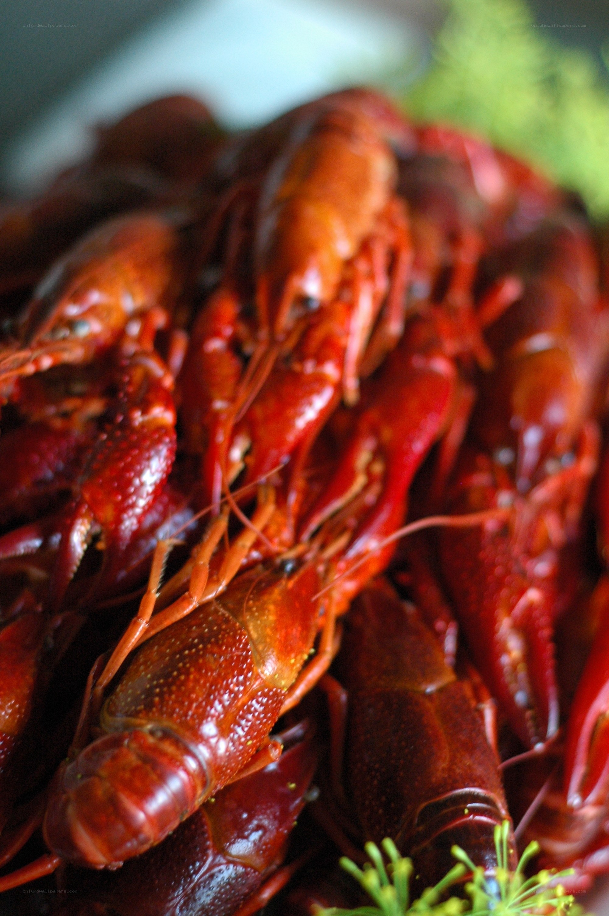 a pile of cooked crawfish