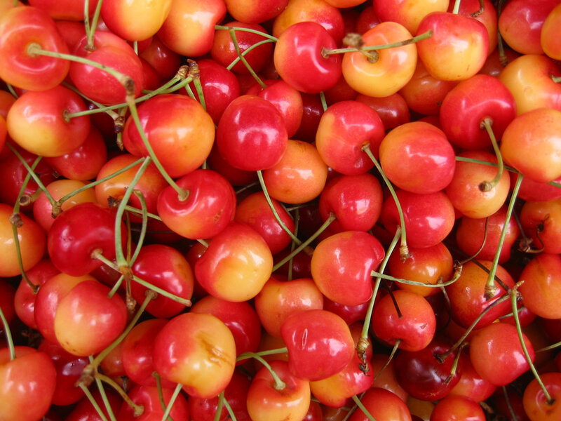 a pile of fresh cherries
