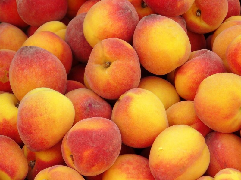 a pile of fresh peaches