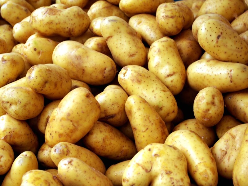 a pile of fresh potatoes