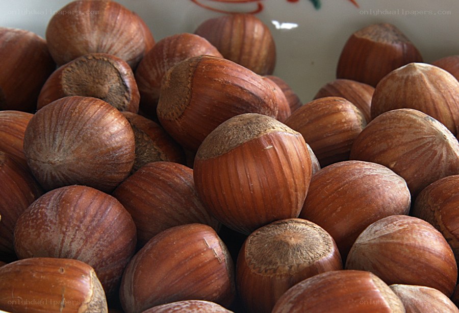 a pile of hazelnuts
