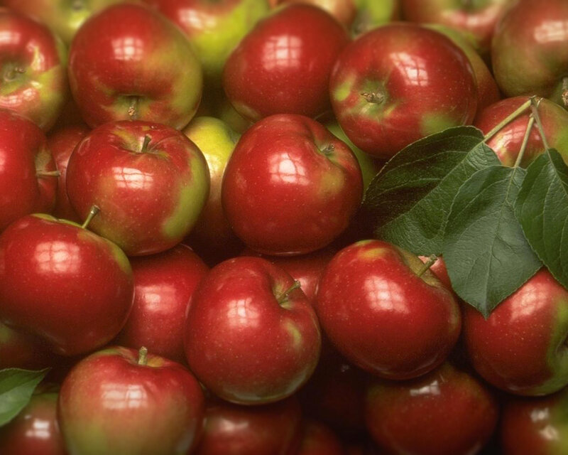 a pile of red apples