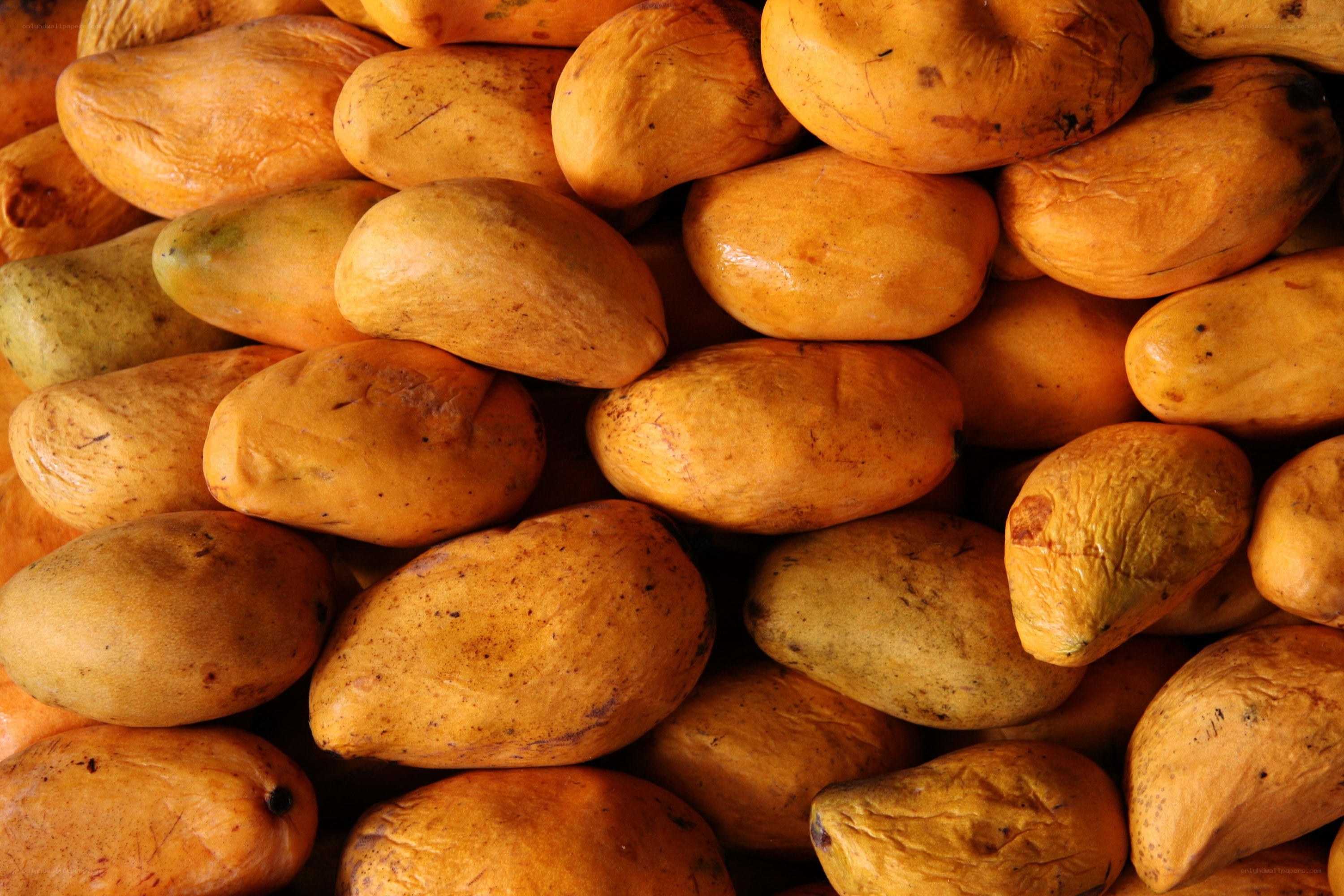 a pile of ripe mangoes