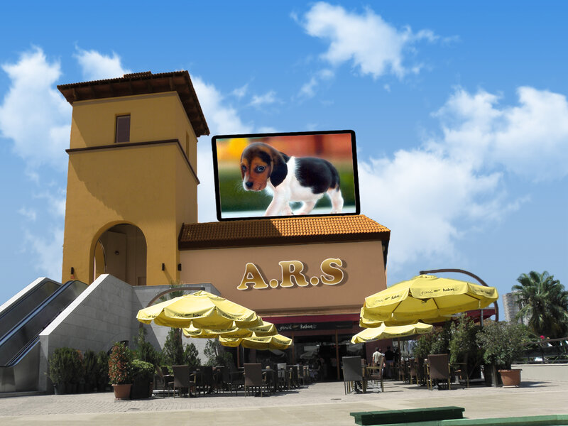 A.R.S. building with puppy display