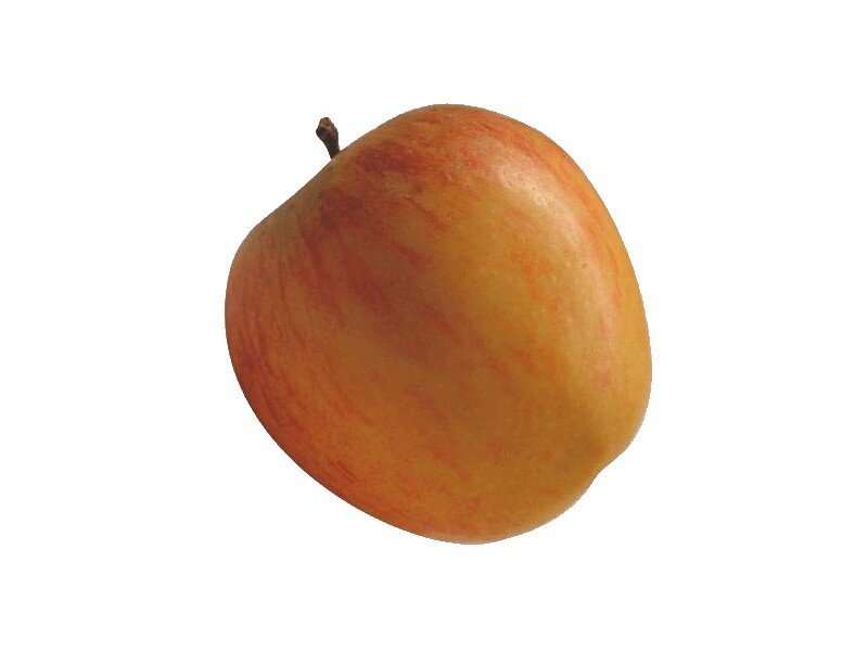 a red and yellow apple