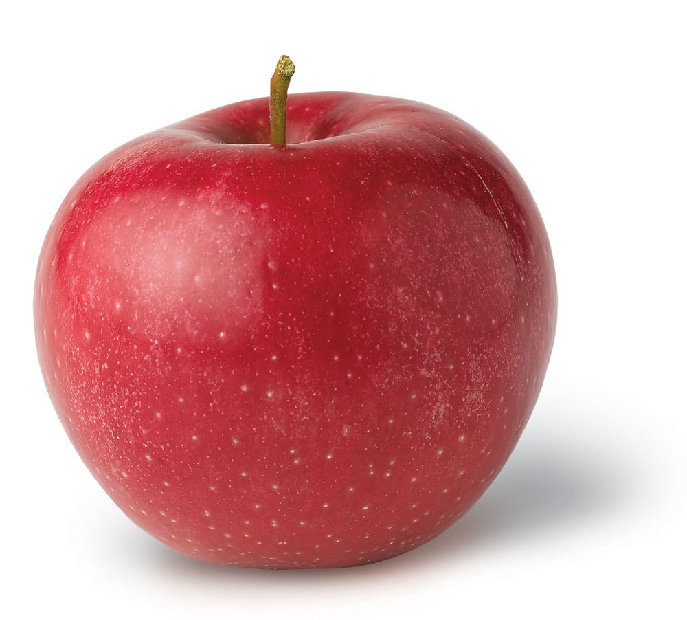 a red apple on white background