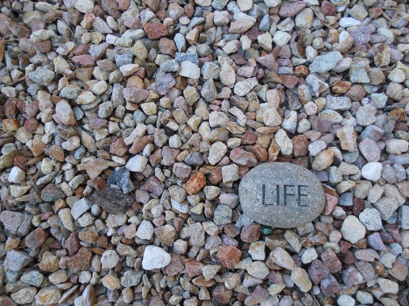A rock engraved with the word LIFE
