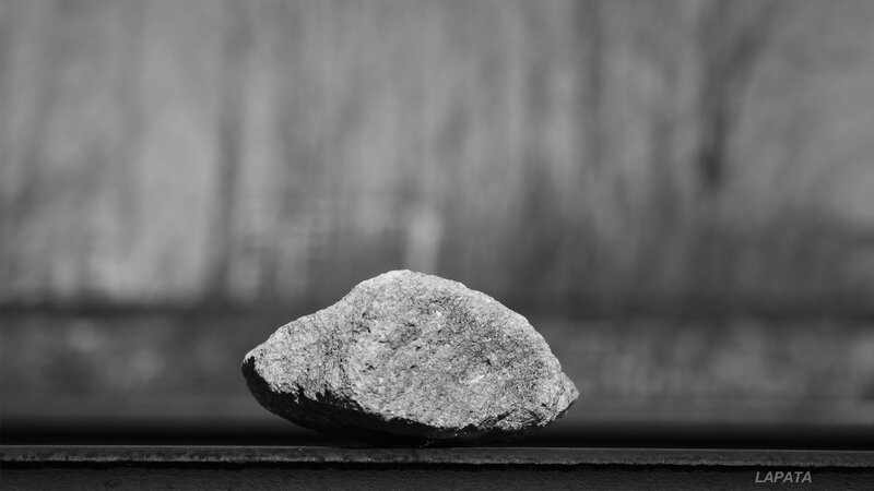 a rock on a surface