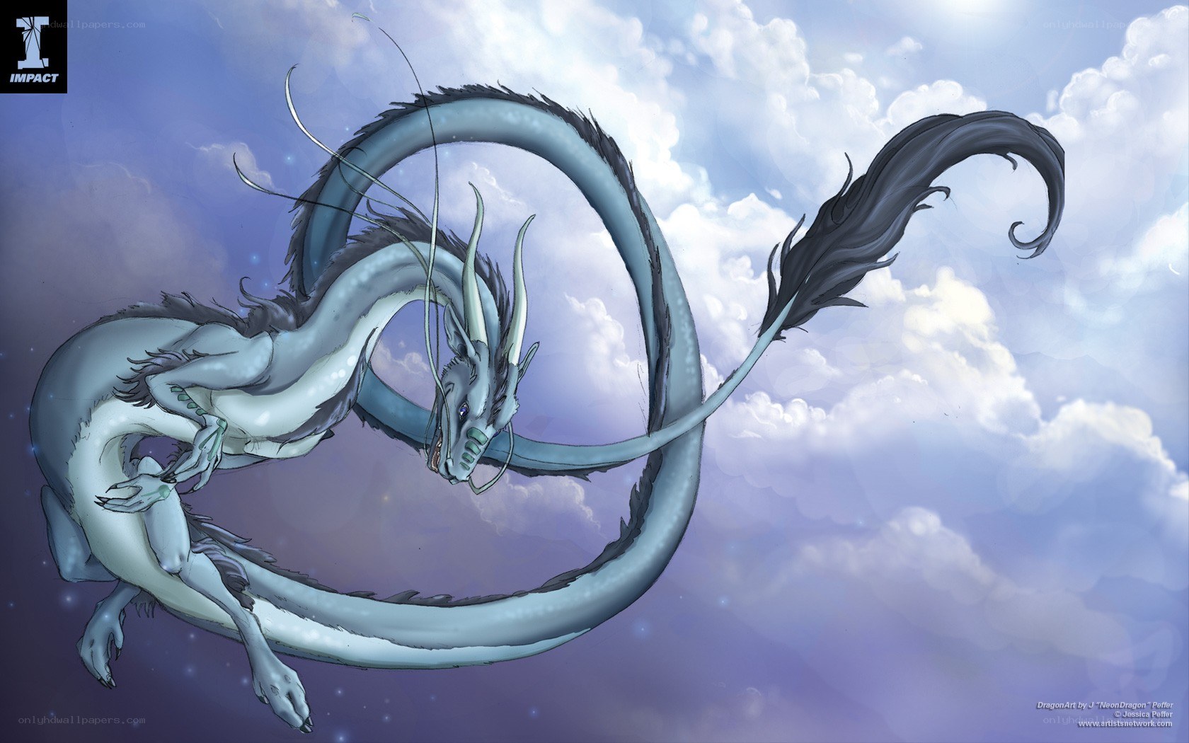 A silver dragon in the sky