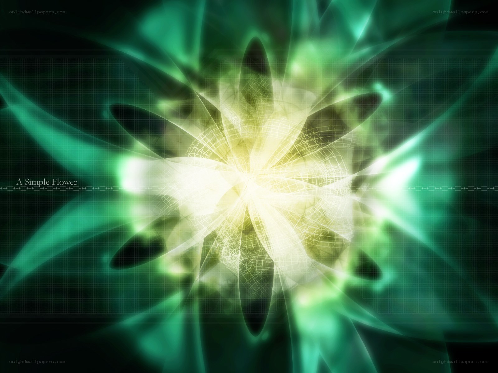 A Simple Flower