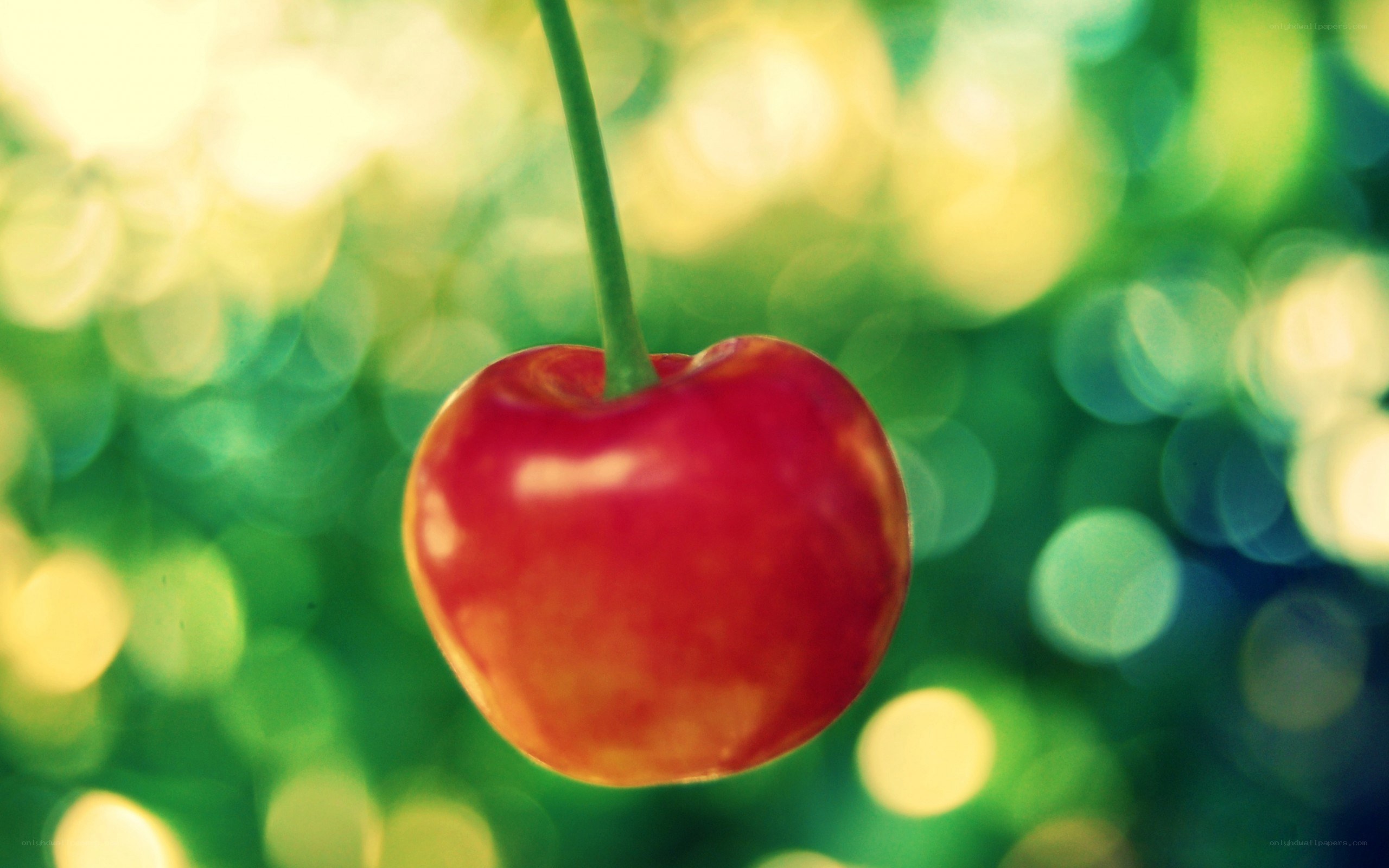 a single cherry on a stem