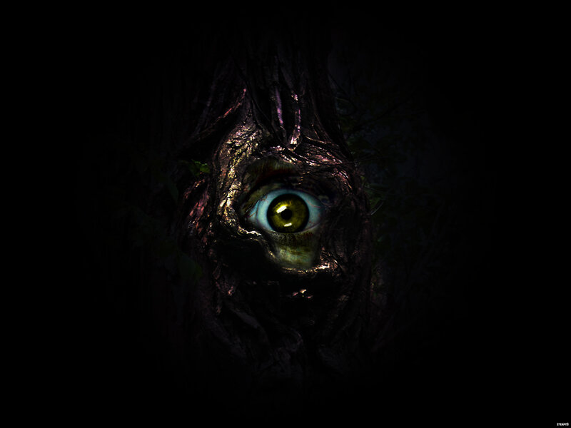 a single eye in a dark tree