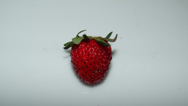 a single red strawberry