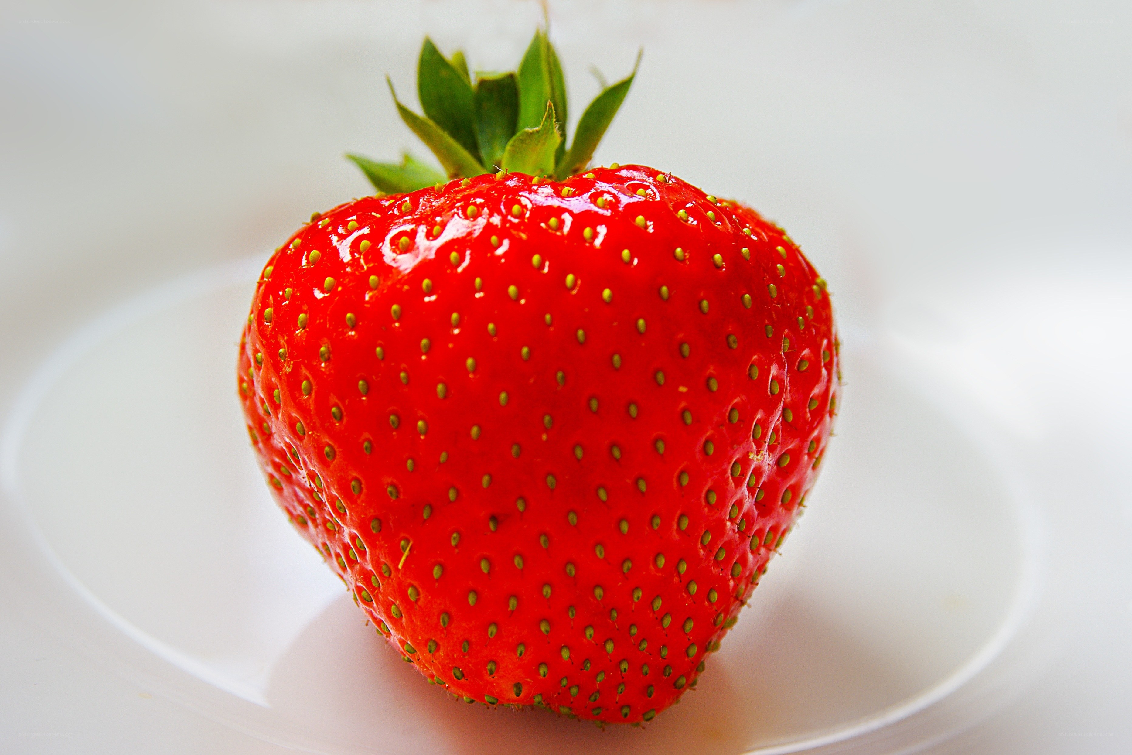 a single ripe strawberry