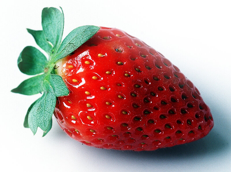 a single ripe strawberry