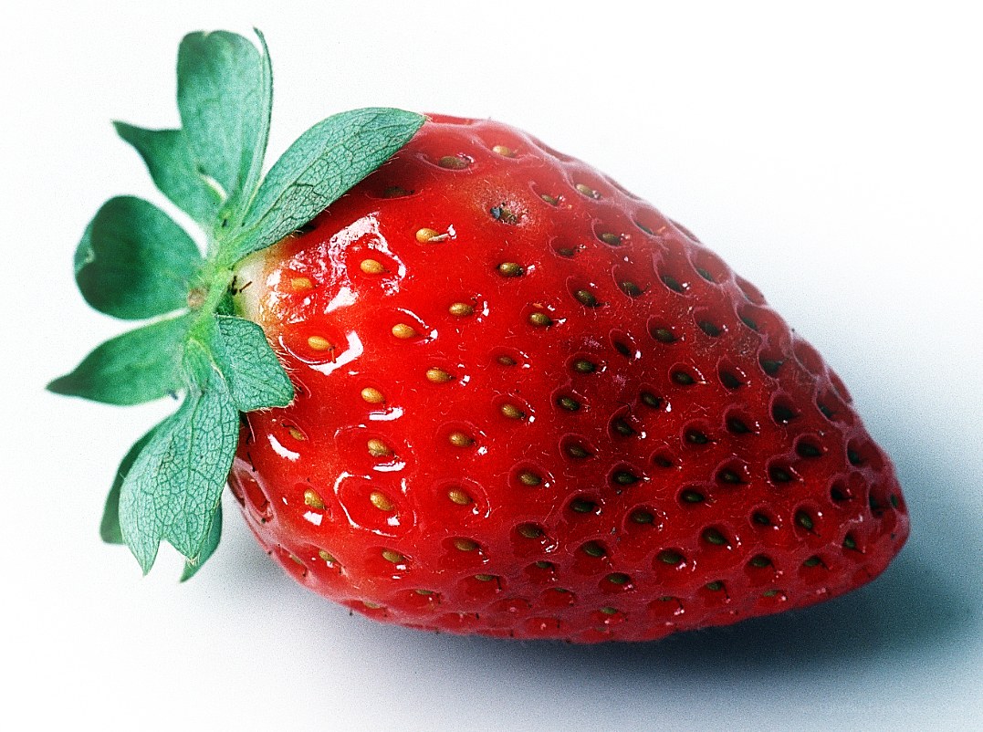 a single ripe strawberry