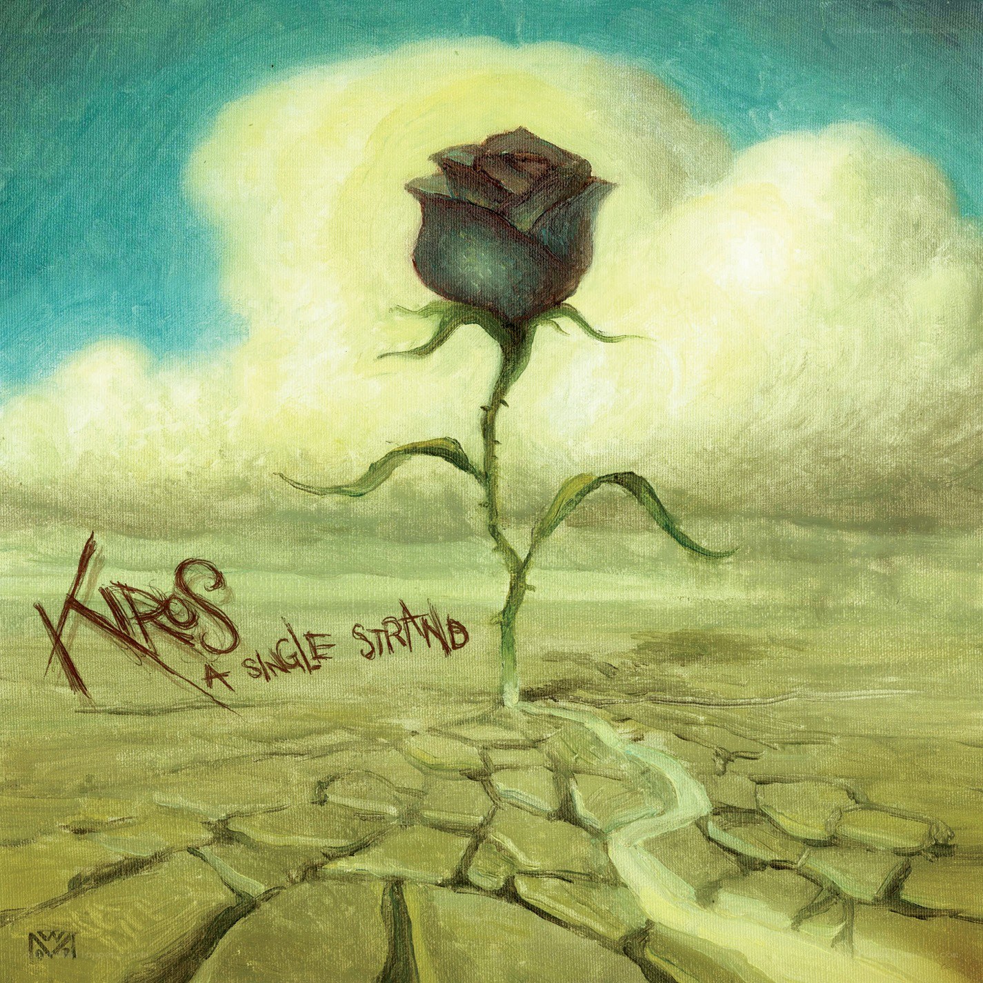 A single rose in a desert