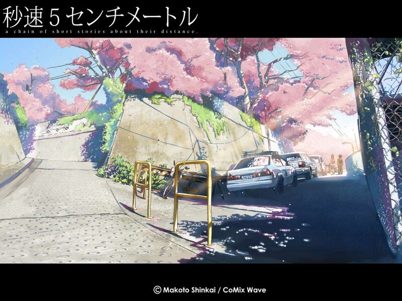 A spring street with cherry blossoms