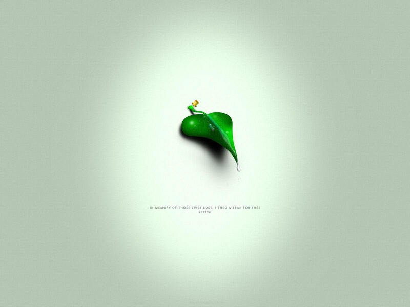 A Tear for the Fallen