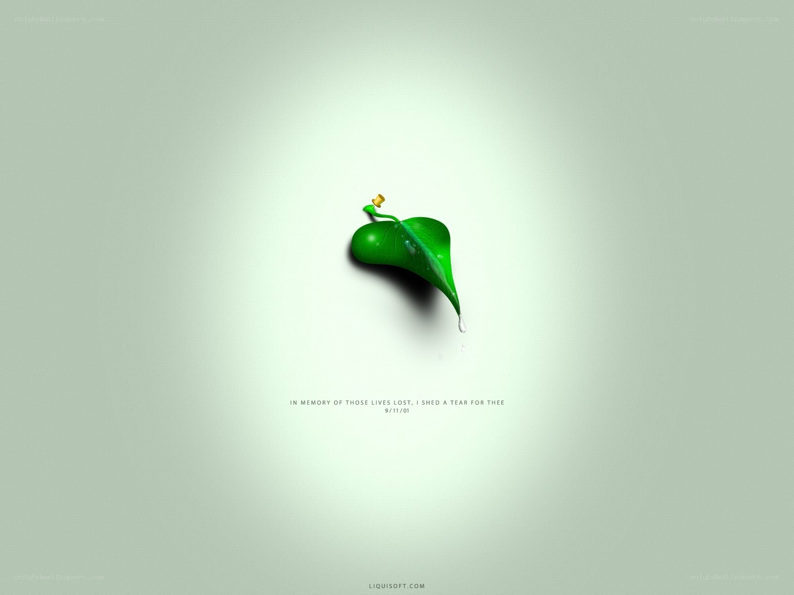 A Tear for the Fallen