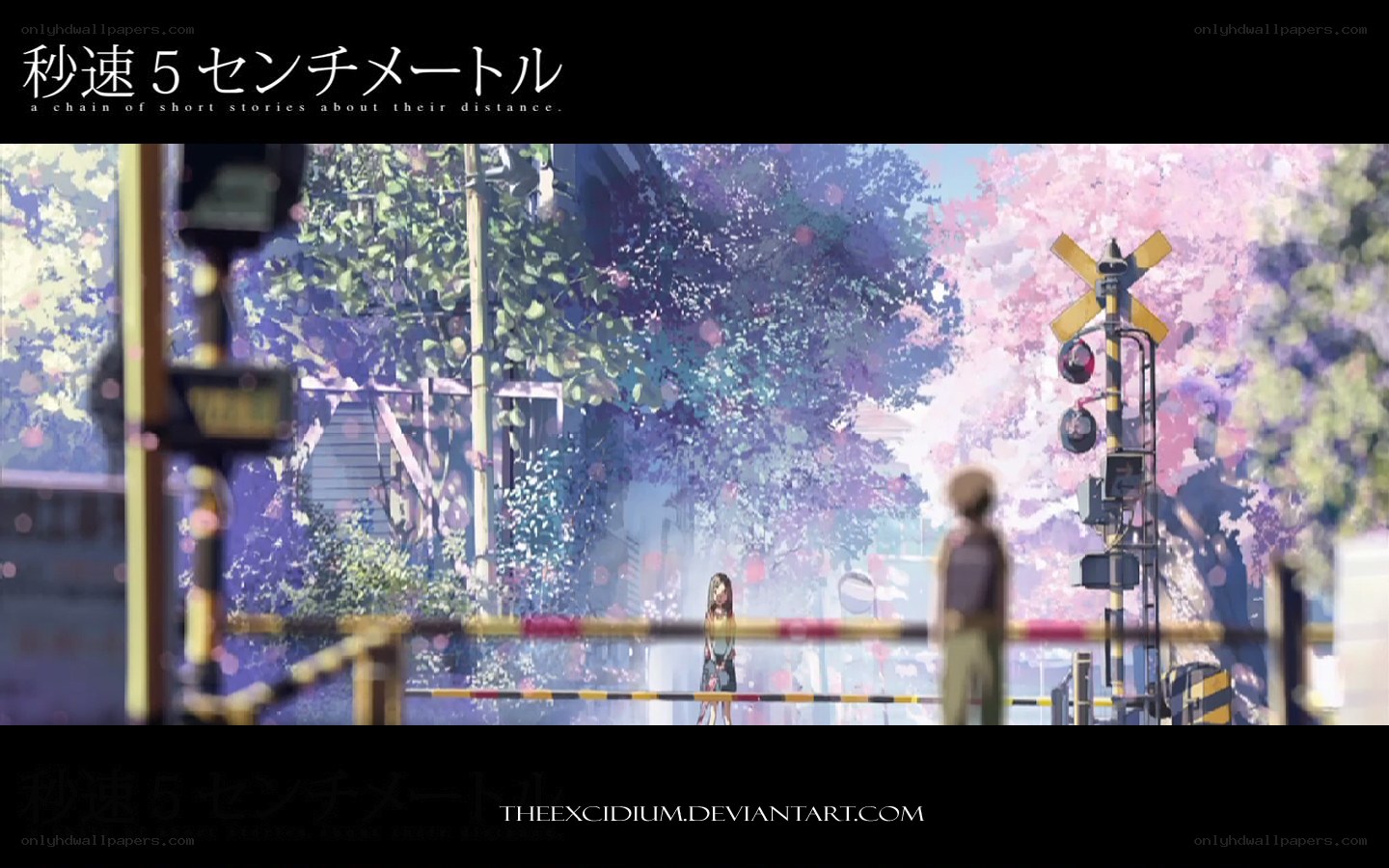 A train crossing with cherry blossoms