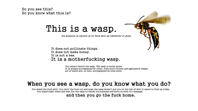 A wasp warning poster