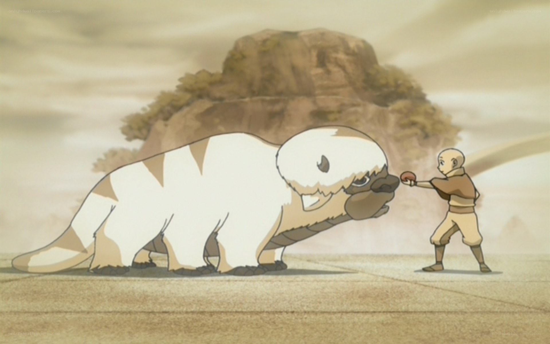 Aang and Appa in the desert