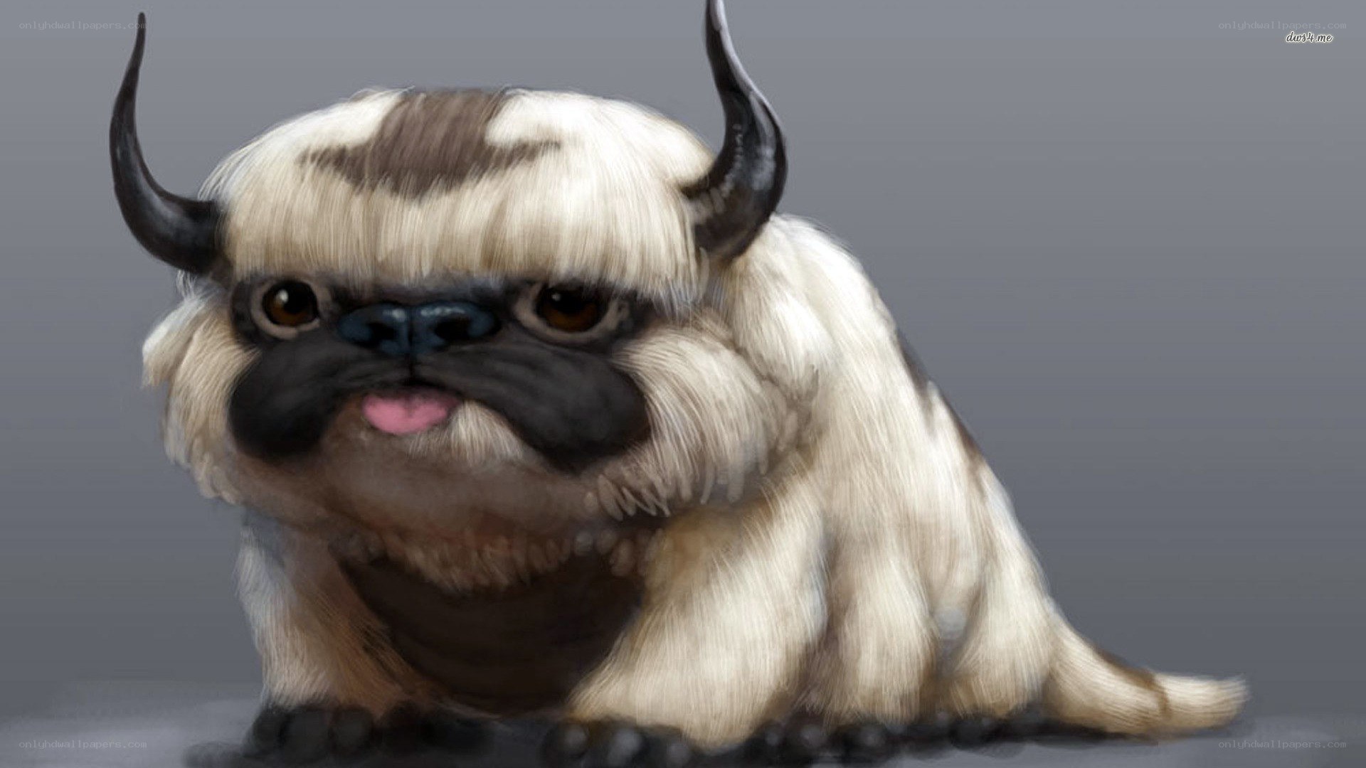 Aang's sky bison cub