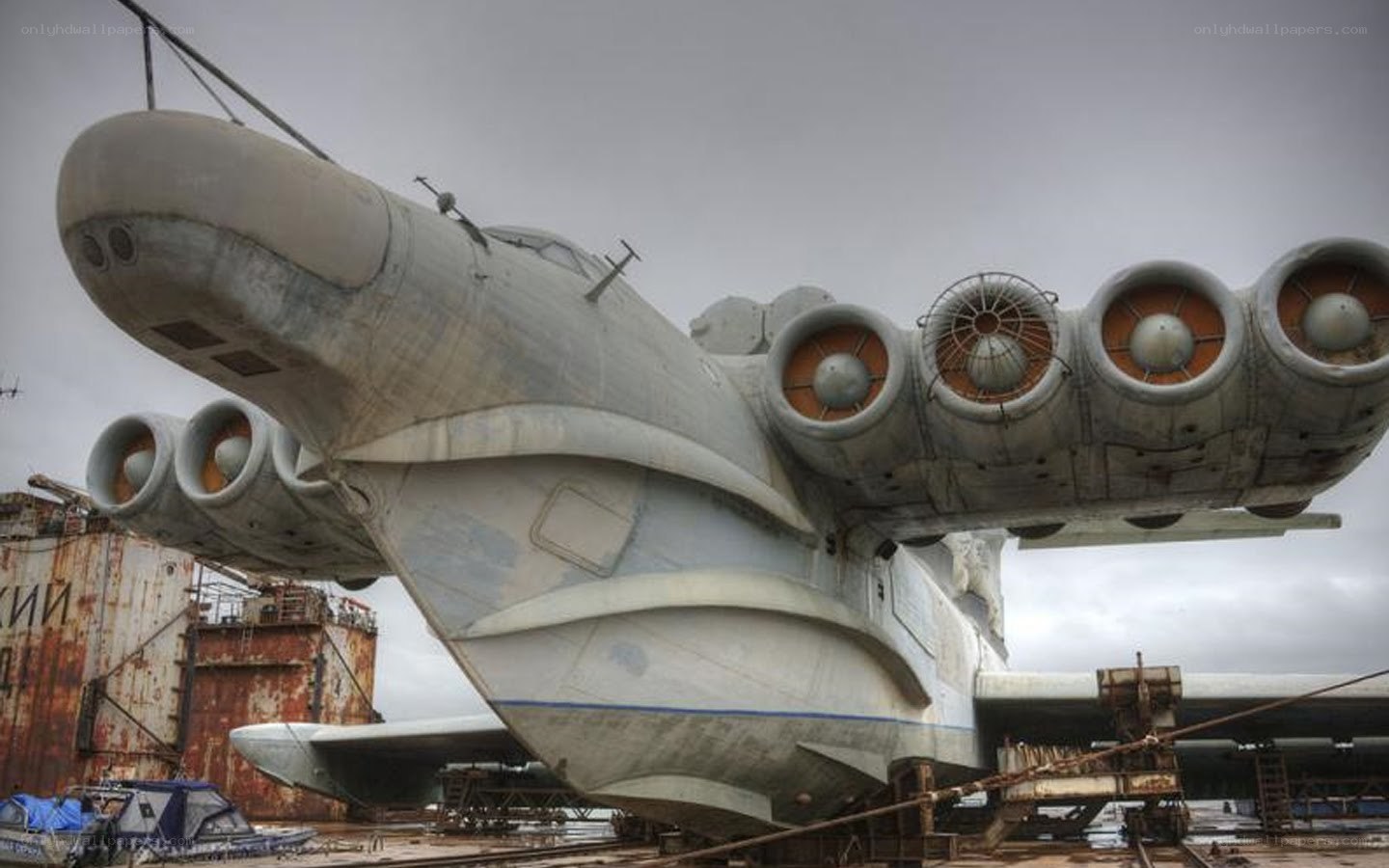 Abandoned aircraft on display