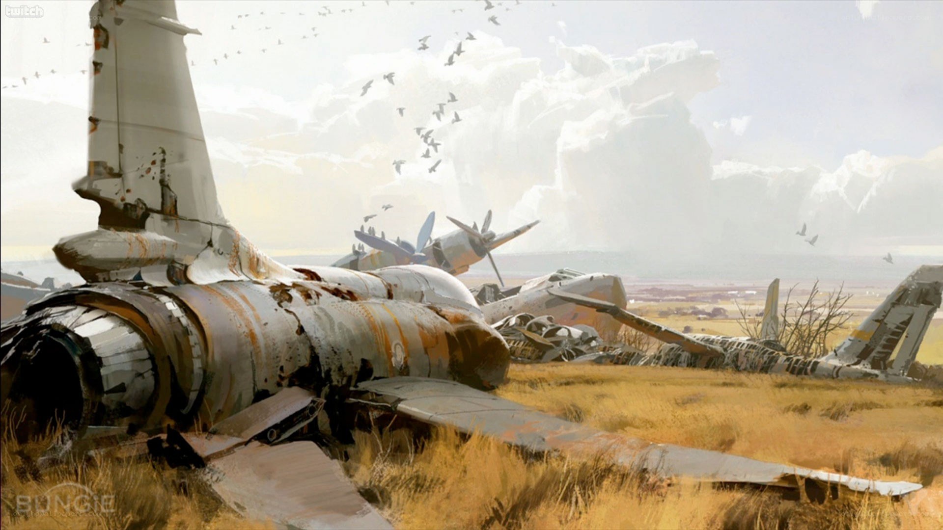 abandoned aircraft wreckage