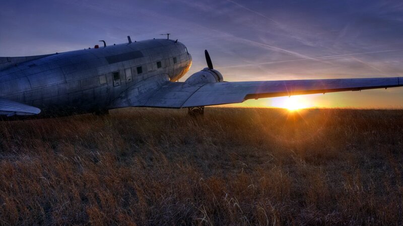 Abandoned Airplane in Field — Gold