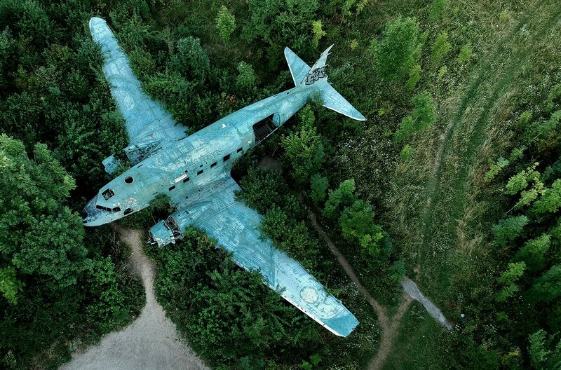 Abandoned Airplane in Forest