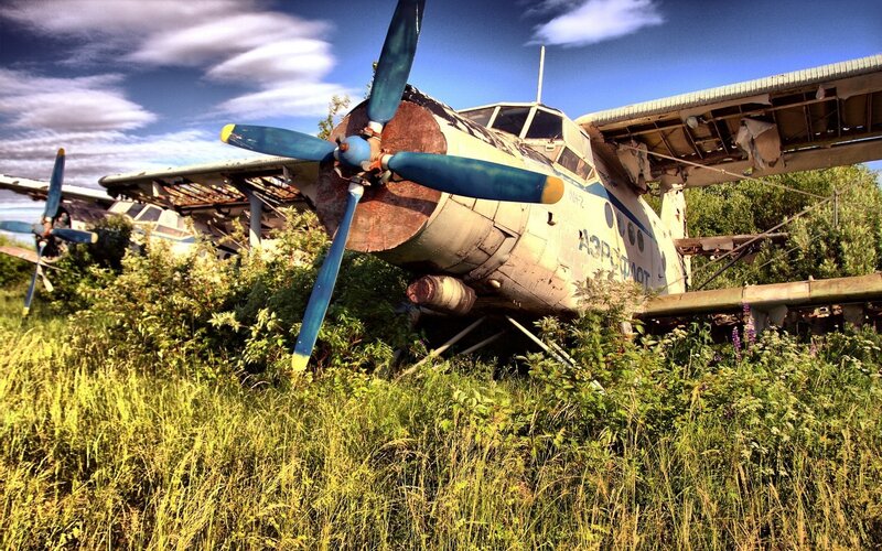Abandoned airplane in overgrown field