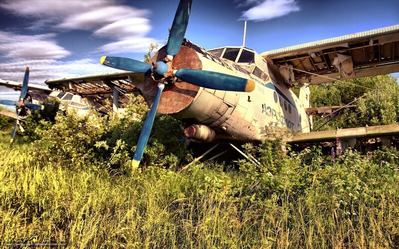 Abandoned airplane in overgrown field