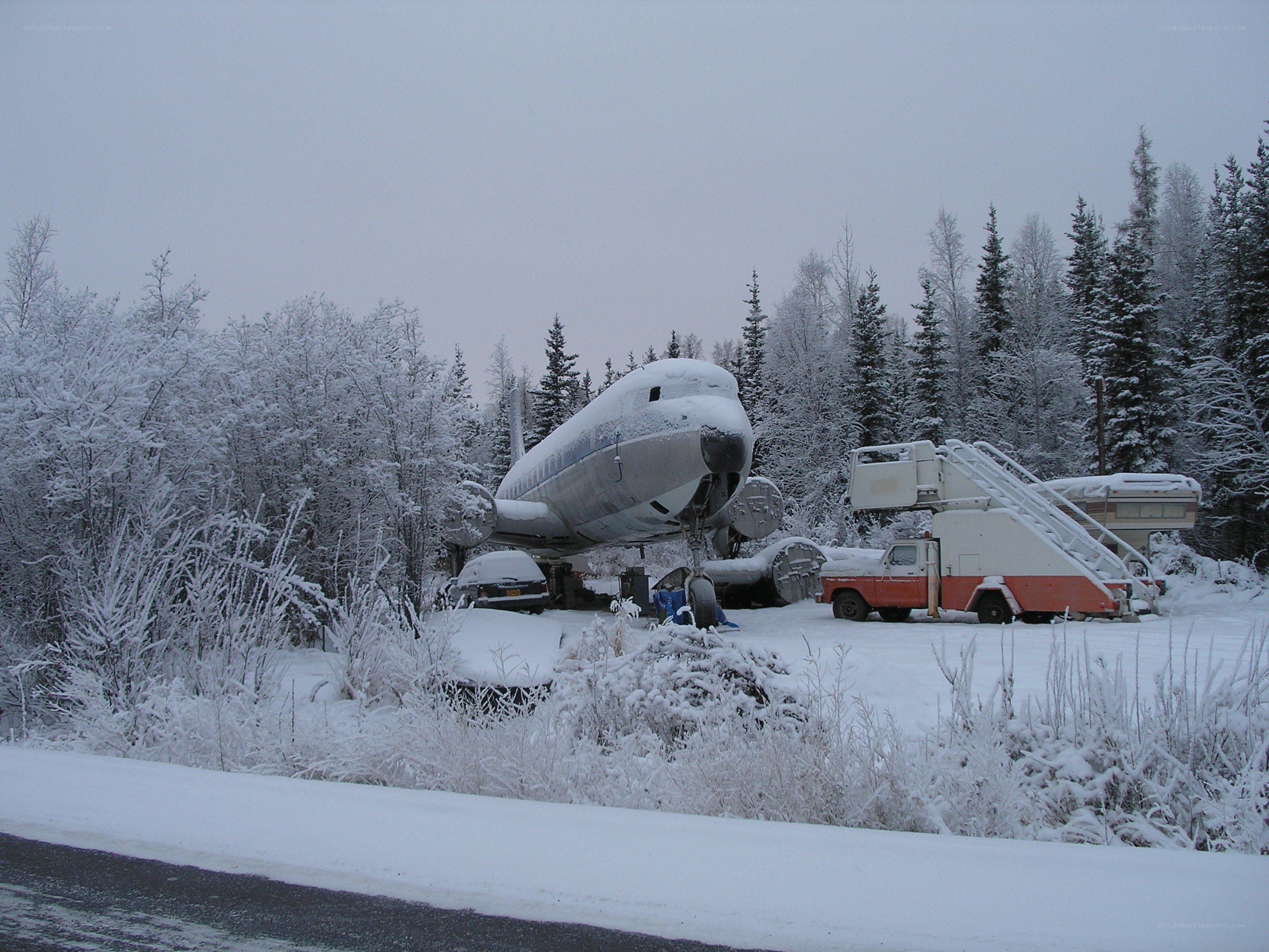 Abandoned airplane in snowy forest