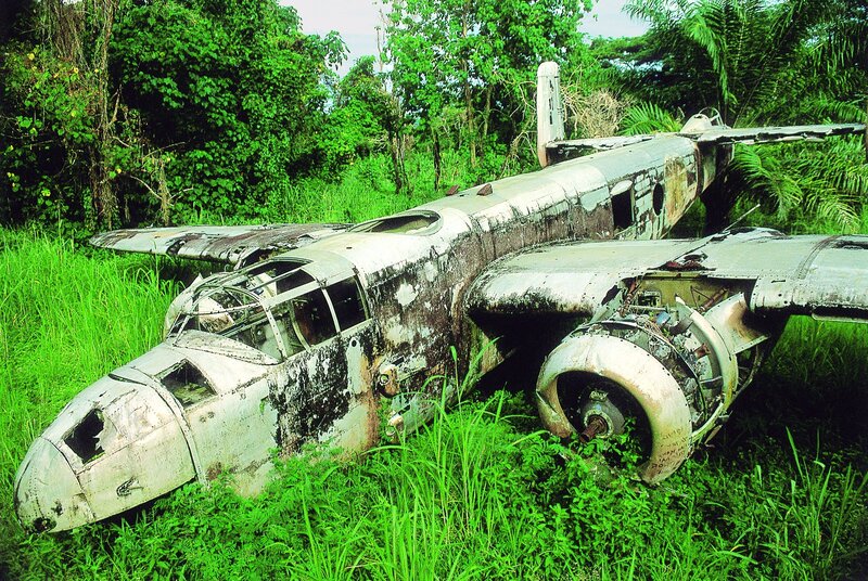 Abandoned Airplane Wreckage — Green, Overgrown