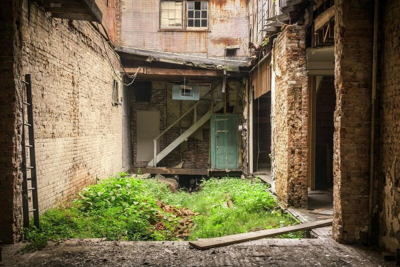 abandoned alley with overgrown plants