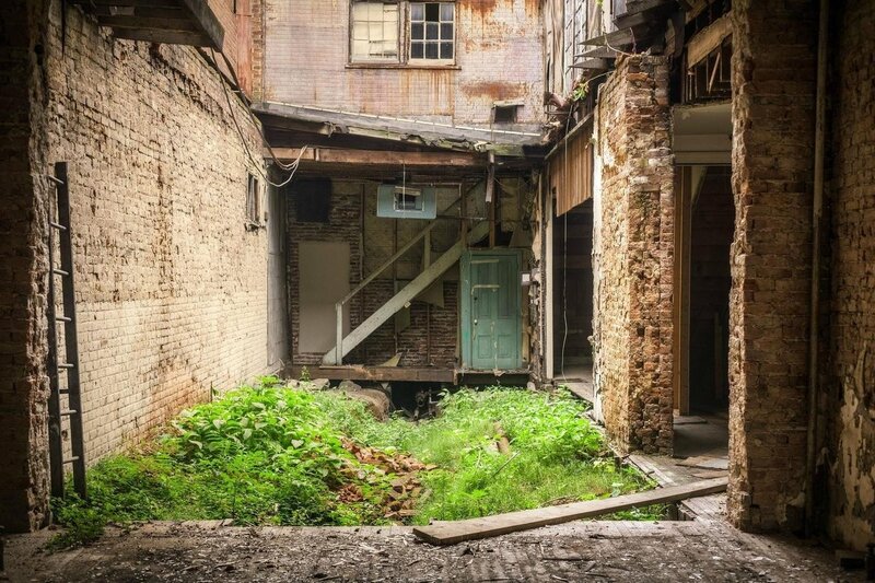 Abandoned Alley with Overgrowth